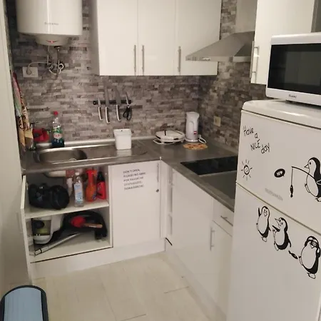 アパート Grande Estudio La Sal トレビエハ